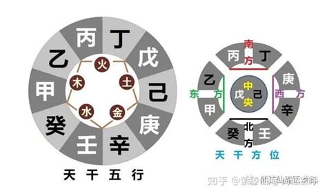 东方甲乙木|八字五行性质分析之甲乙木 八字中甲乙木详解